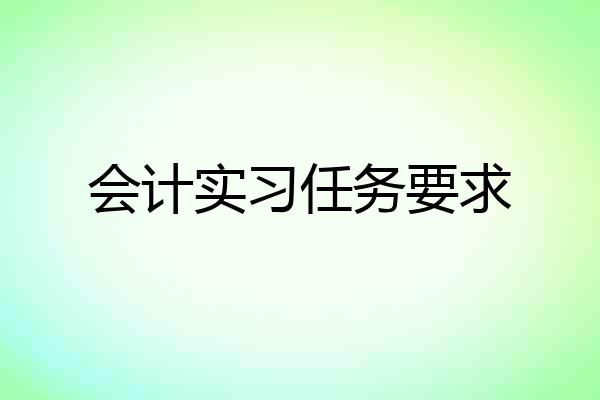 会计实习任务要求