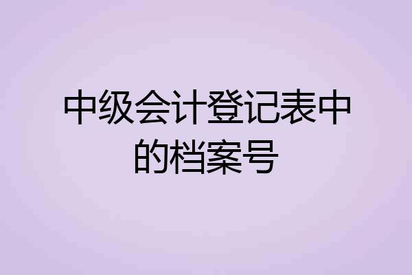 中级会计登记表中的档案号