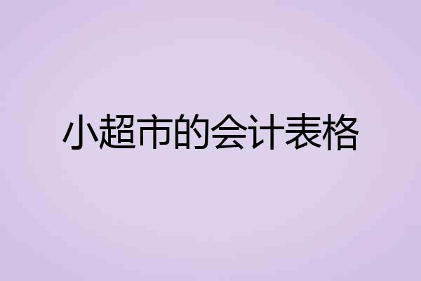 小超市的会计表格