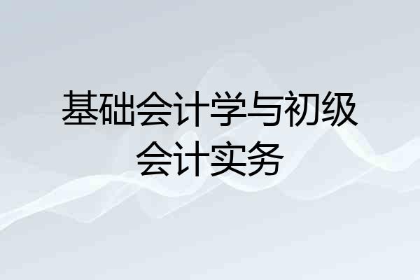 基础会计学与初级会计实务