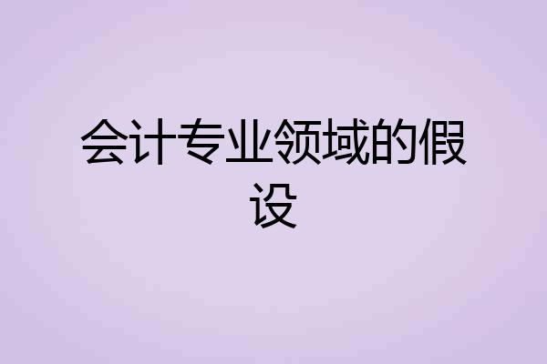 会计专业领域的假设