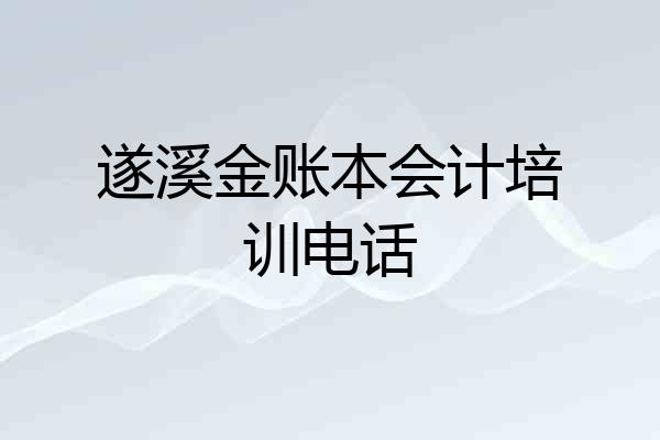 遂溪金账本会计培训电话