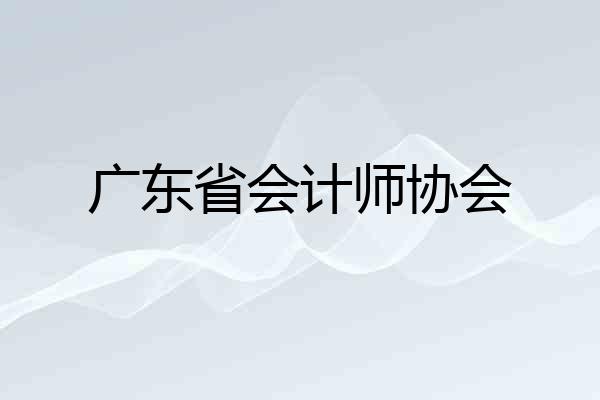 广东省会计师协会