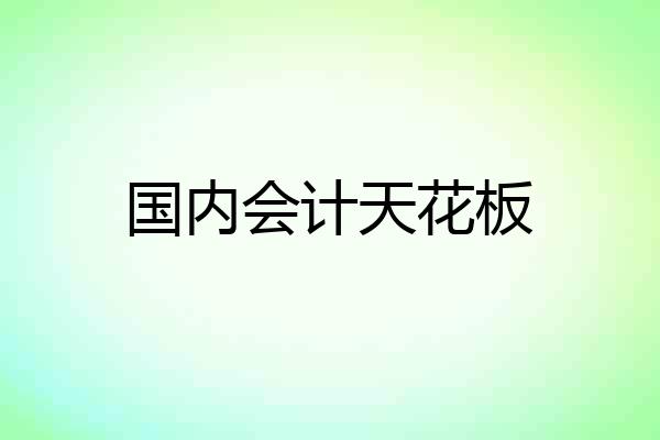 国内会计天花板