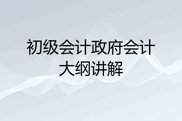 初级会计政府会计大纲讲解