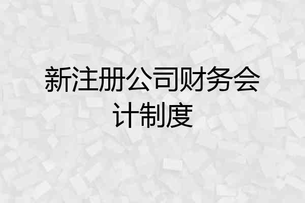 新注册公司财务会计制度