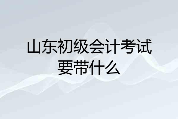 山东初级会计考试要带什么