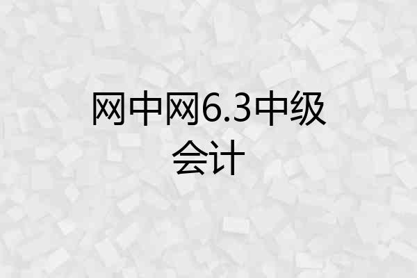 网中网6.3中级会计