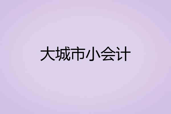 大城市小会计