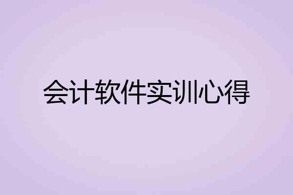 会计软件实训心得