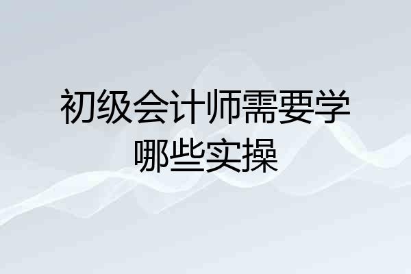 初级会计师需要学哪些实操