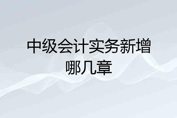 中级会计实务新增哪几章