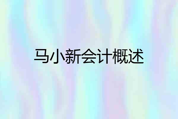 马小新会计概述