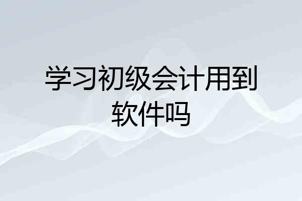 学习初级会计用到软件吗