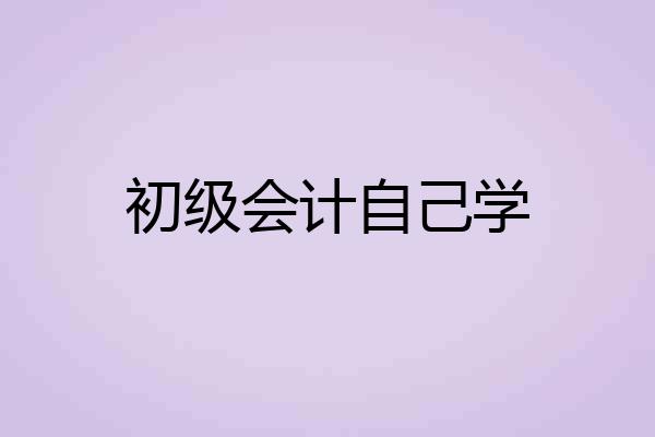 初级会计自己学