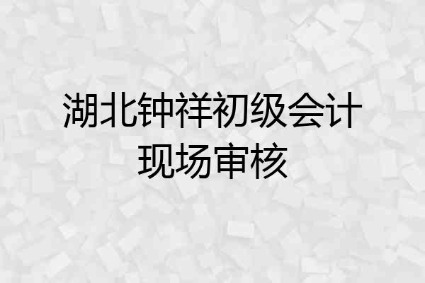 湖北钟祥初级会计现场审核