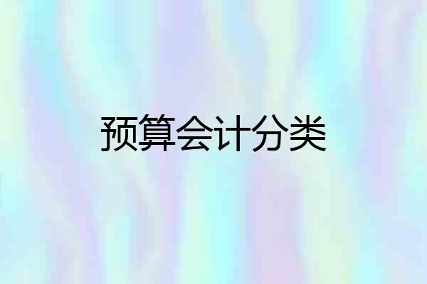 预算会计分类