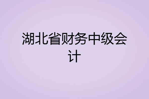 湖北省财务中级会计