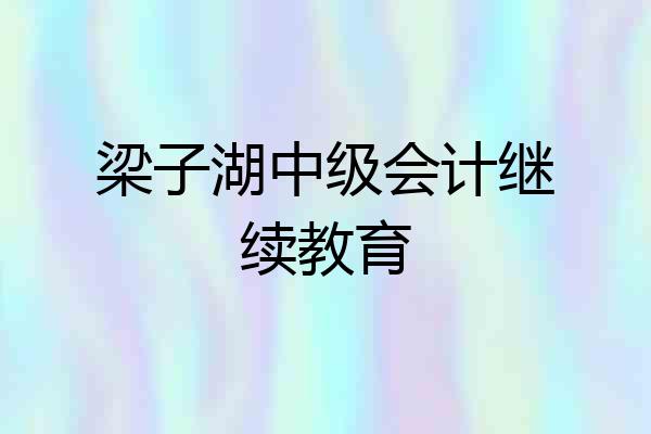 梁子湖中级会计继续教育