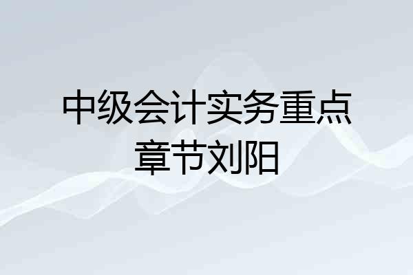 中级会计实务重点章节刘阳