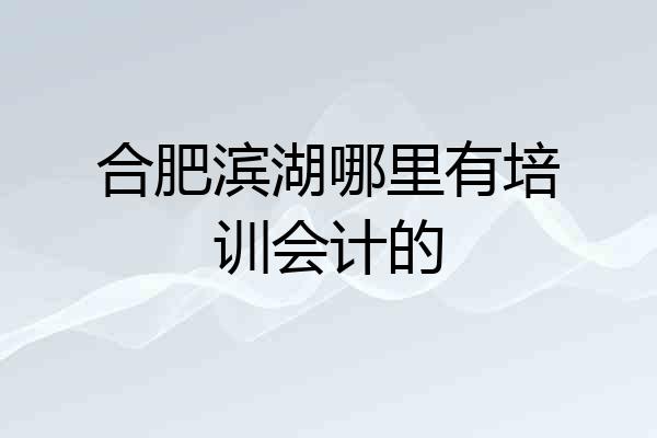 合肥滨湖哪里有培训会计的