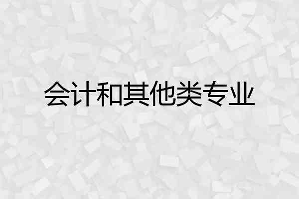 会计和其他类专业