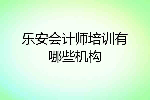 乐安会计师培训有哪些机构