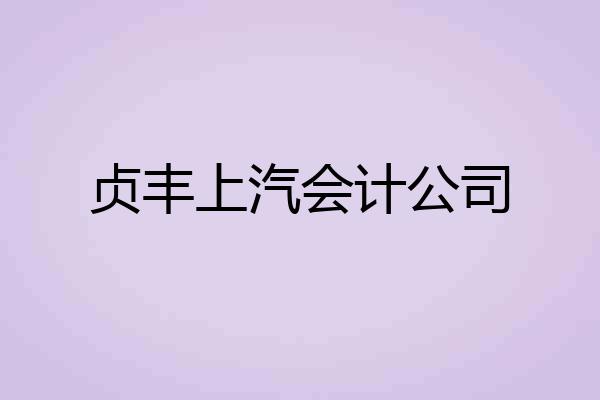 贞丰上汽会计公司