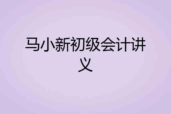 马小新初级会计讲义