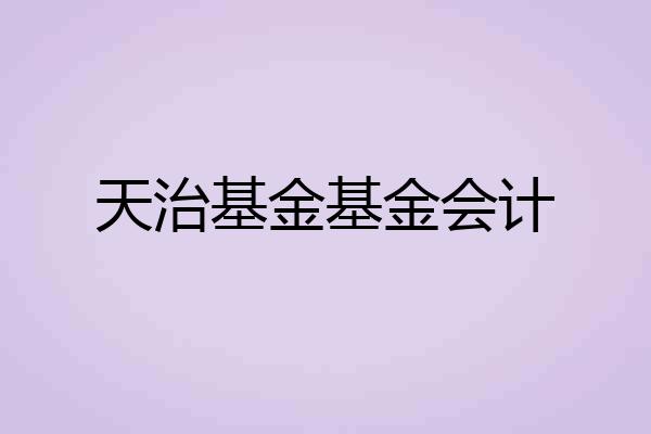 天治基金基金会计