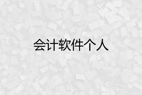 会计软件个人
