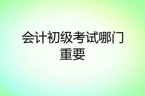 会计初级考试哪门重要