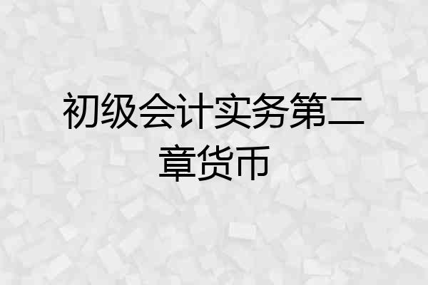 初级会计实务第二章货币