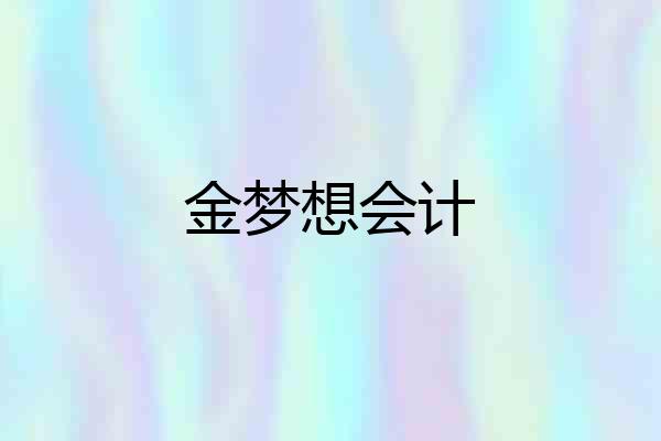 金梦想会计