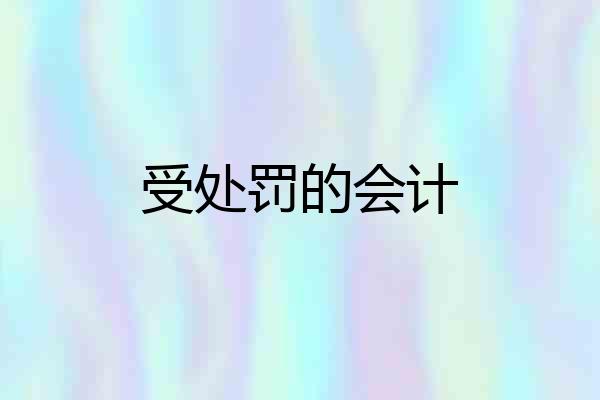 受处罚的会计