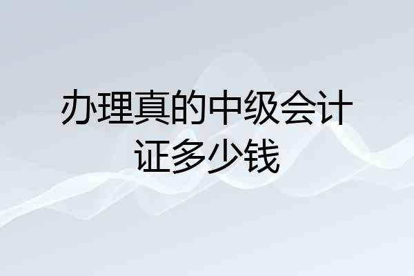 办理真的中级会计证多少钱