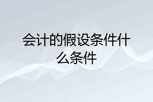 会计的假设条件什么条件