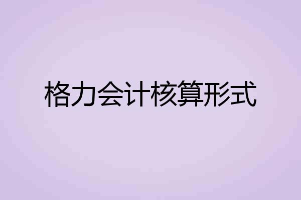 格力会计核算形式