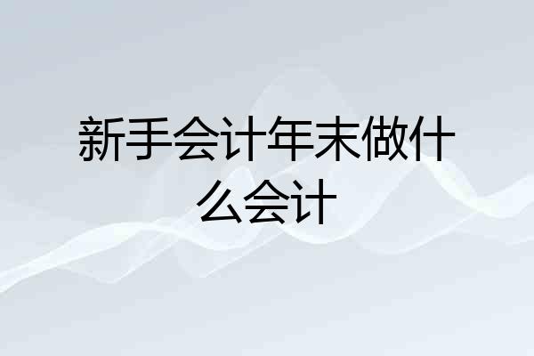 新手会计年末做什么会计