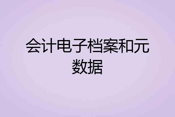 会计电子档案和元数据