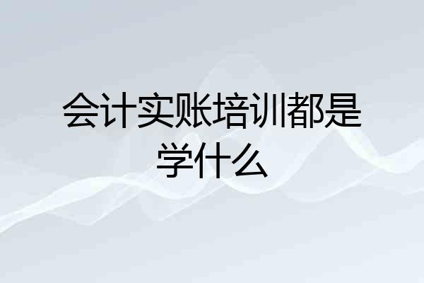 会计实账培训都是学什么