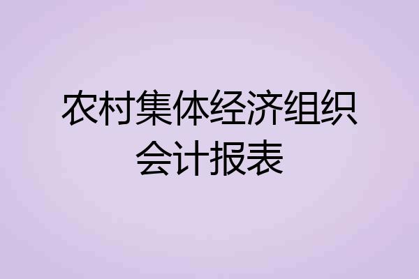 农村集体经济组织会计报表