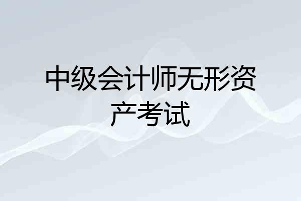 中级会计师无形资产考试