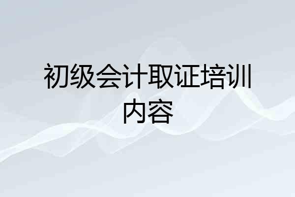 初级会计取证培训内容