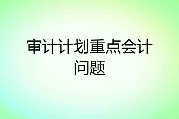 审计计划重点会计问题