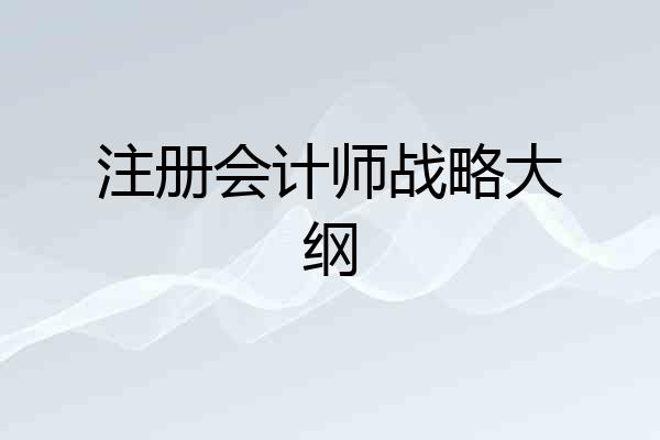 注册会计师战略大纲