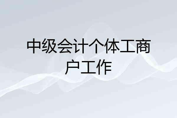 中级会计个体工商户工作