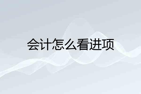 会计怎么看进项