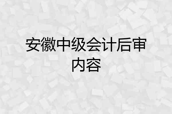 安徽中级会计后审内容