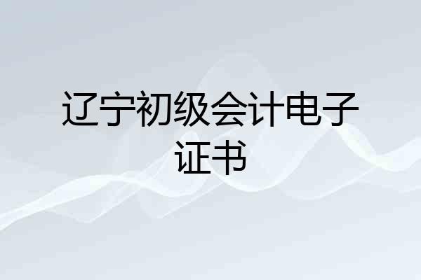 辽宁初级会计电子证书